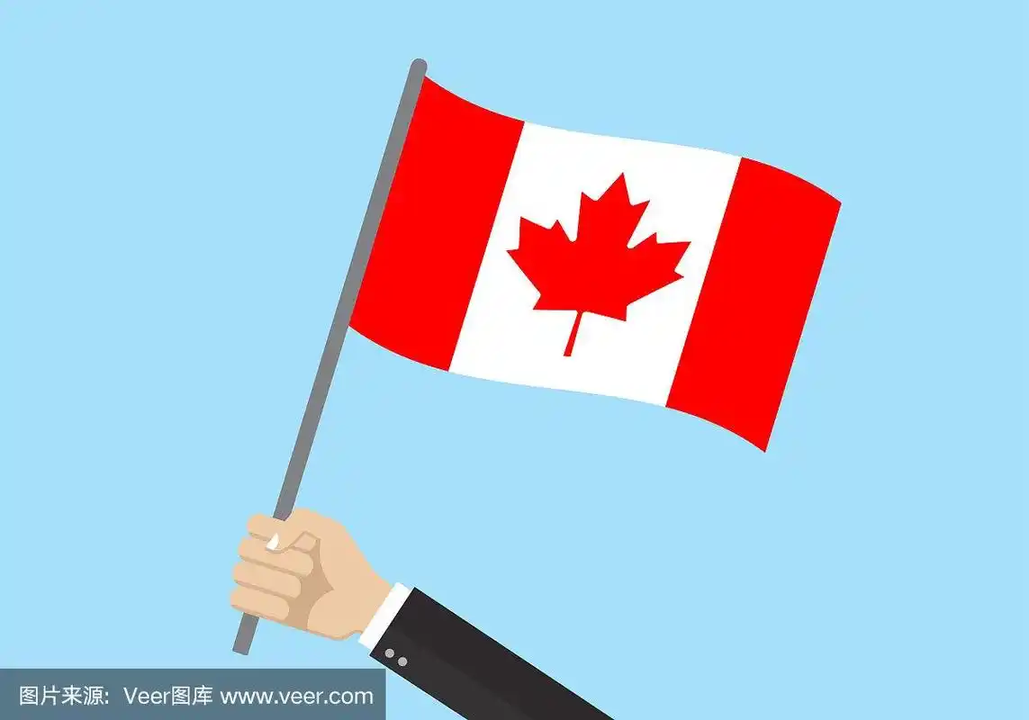 手握加拿大国旗.红色枫叶是国家的象征.矢量插图.