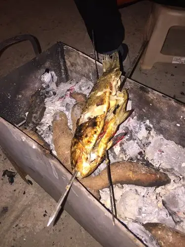 2018年第一天烤火烤鱼烤红薯