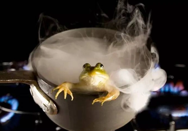 温水煮青蛙
