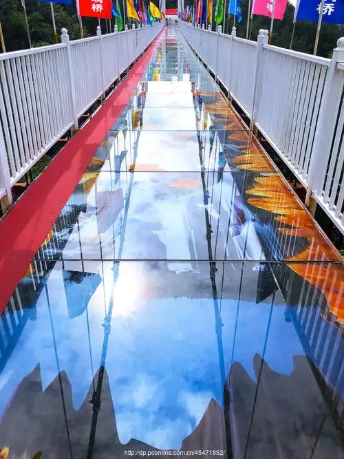 蔡甸九真山玻璃栈道桥
