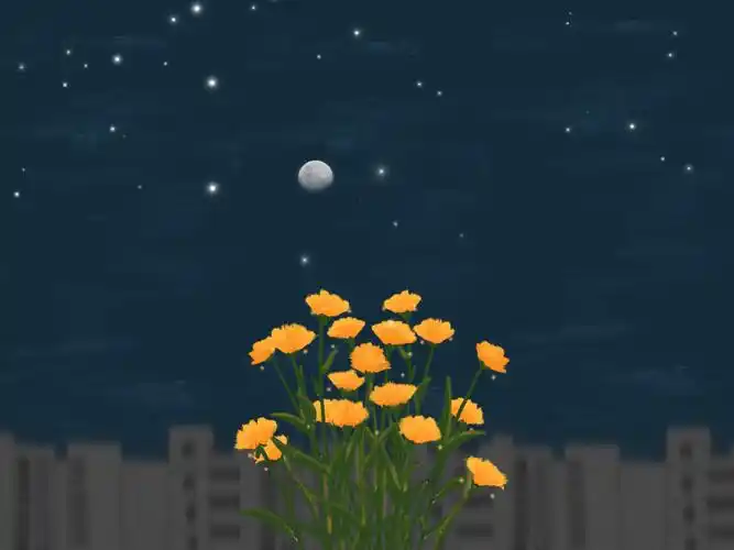 插画壁纸/油画壁纸/手机壁纸背景图/动漫壁纸高清壁纸/摄影/简约/可爱