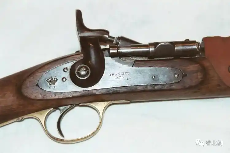 被李鸿章称为边针枪中最烂的英国士乃的步枪长啥样?