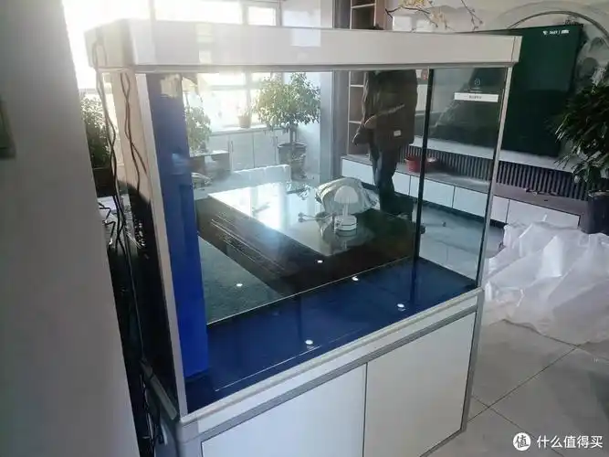 森森智能底滤客厅鱼缸现代家居中的养鱼新体验