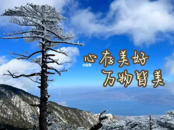 心存美好万物皆美