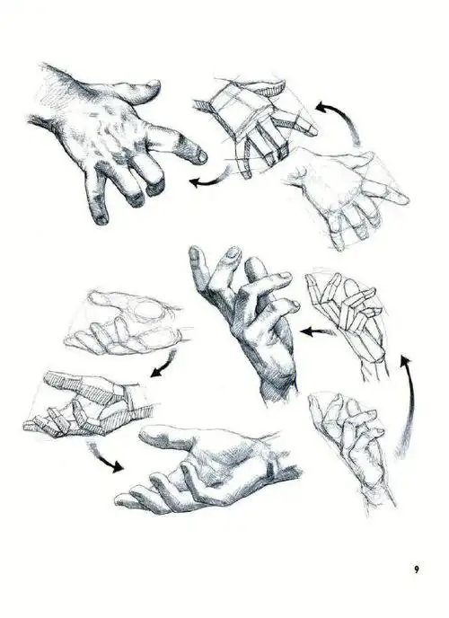 画好速写一定要加强手部结构理解