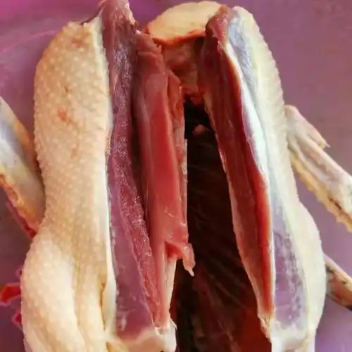 东北特产农家院新鲜现杀非洲燕番鸭土鸭子鸳鸯其它鸭肉类