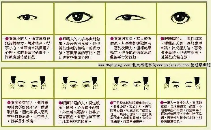 眼睛面相鼻子面相算命图解