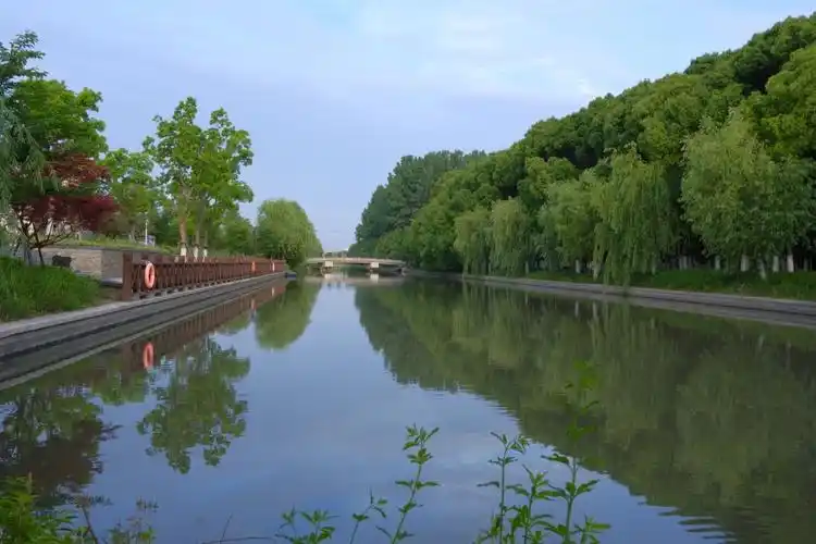 松江九亭河清岸绿更要水清岸美