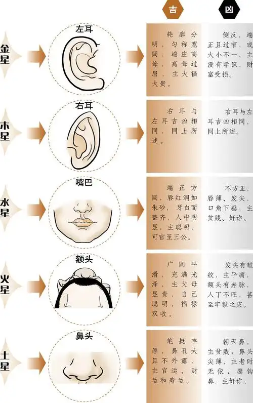 (新)图解古代人体工程学(1):麻衣神相最新章节_袁柳庄著_掌阅小说网
