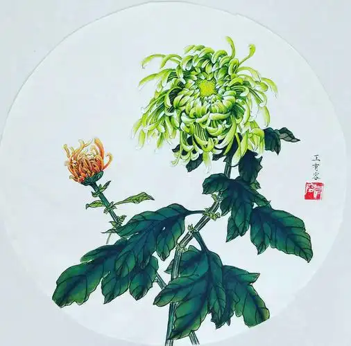 王勇近期作品——工笔重彩菊花欣赏