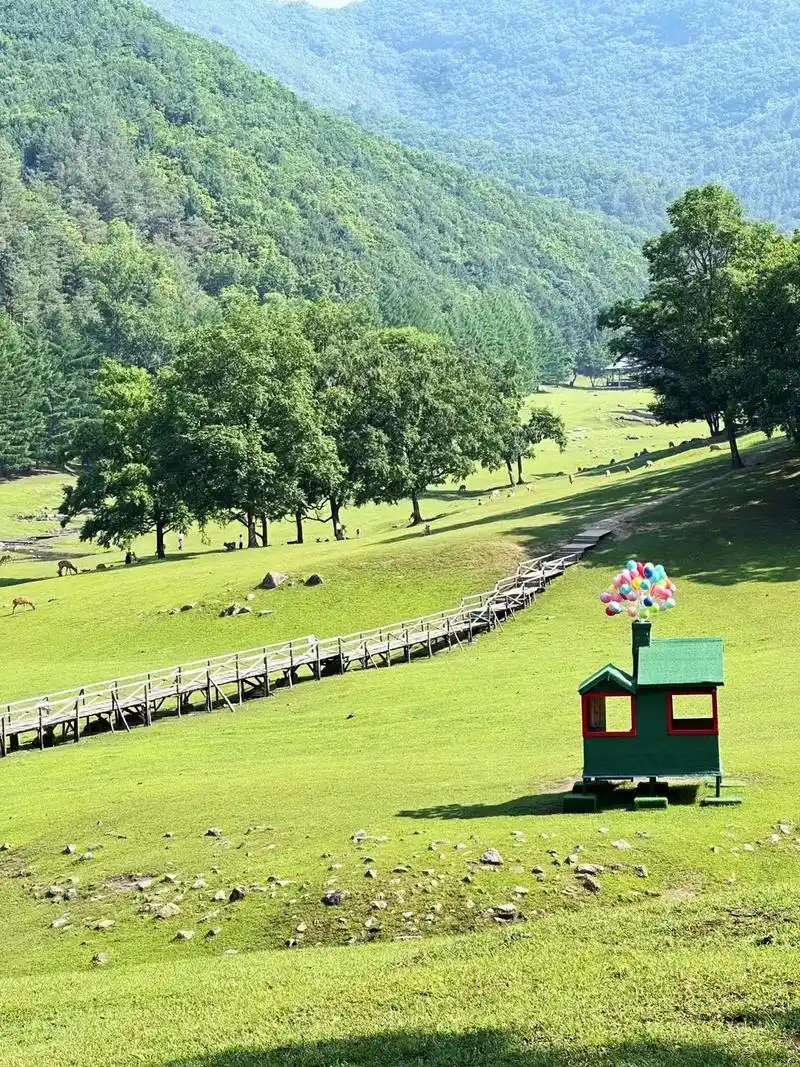 离开伊春的后劲比失恋还大!#伊春旅游攻略 #伊春 #小兴安岭 - 抖音