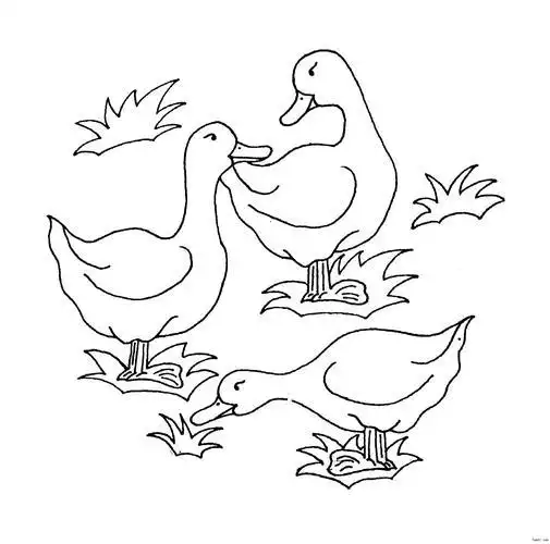 脚印 简笔百度图片搜索 1 mengyu鸭子脚印卡通简笔画简笔画《小鸭》