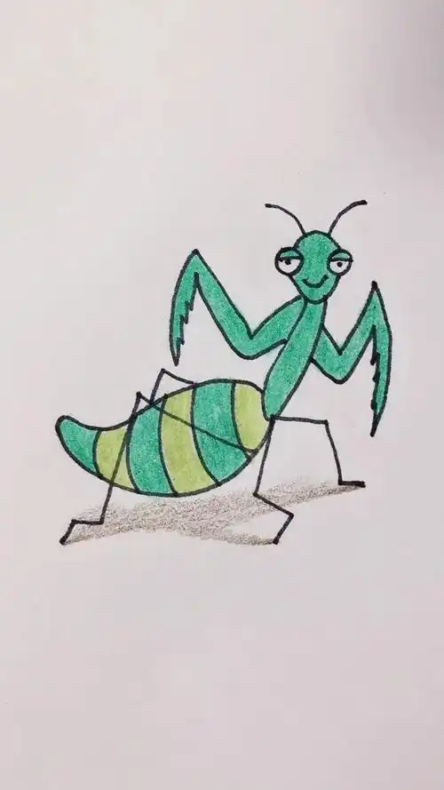 如何学画螳螂简笔画?