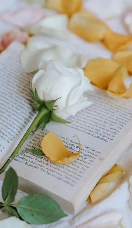 高级感的很舒心的壁纸最新 让人极度舒适的壁纸合集