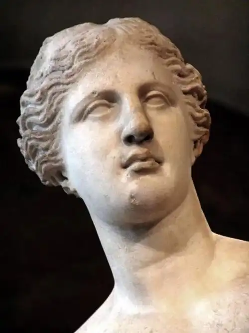 断臂的维纳斯高考数学题火了猜猜我多高