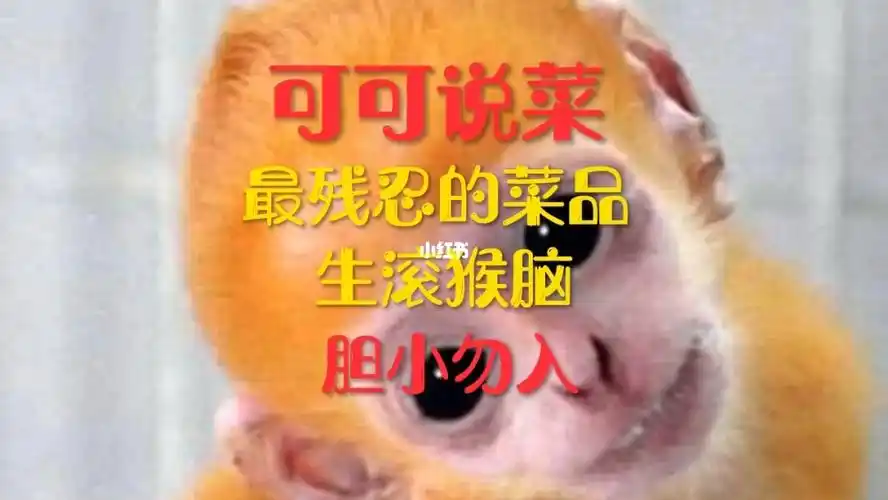 最残忍的菜品生滚猴脑