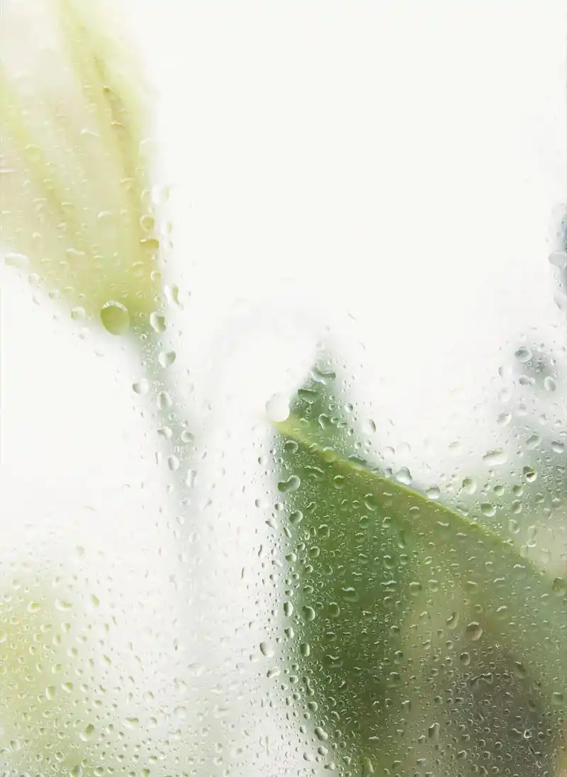 简约背景图|极简风#美业朋友圈打造素材 #美业海报 #海 - 抖音