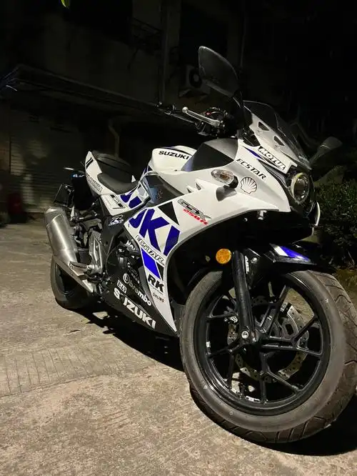 gsx250r冰川白赛道版画