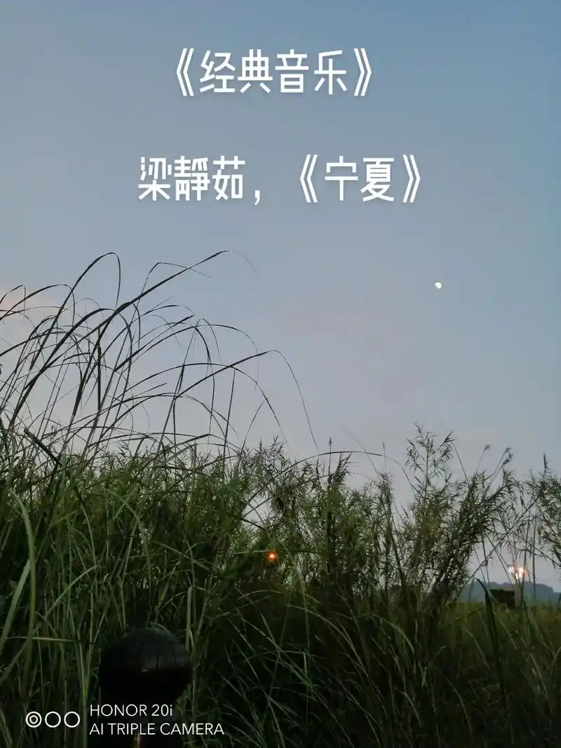 让这首甜的歌曲巜宁夏》带你度过燥热的夜晚,甜的进入梦乡! - 抖音