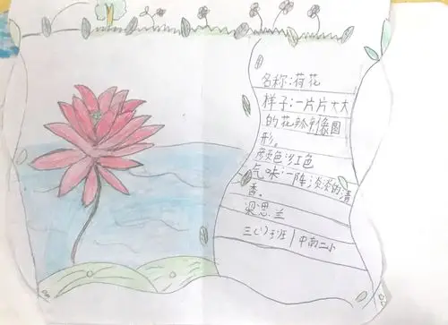 长沙县中南第二小学三一班《我来做记录卡》—观察动植物(指导老师