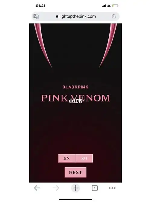 blackpink线下应援