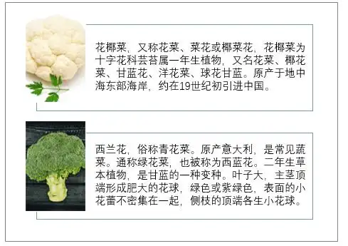 花椰菜与西兰花区别西兰花中的营养成分,不仅含量高,而且十分全面
