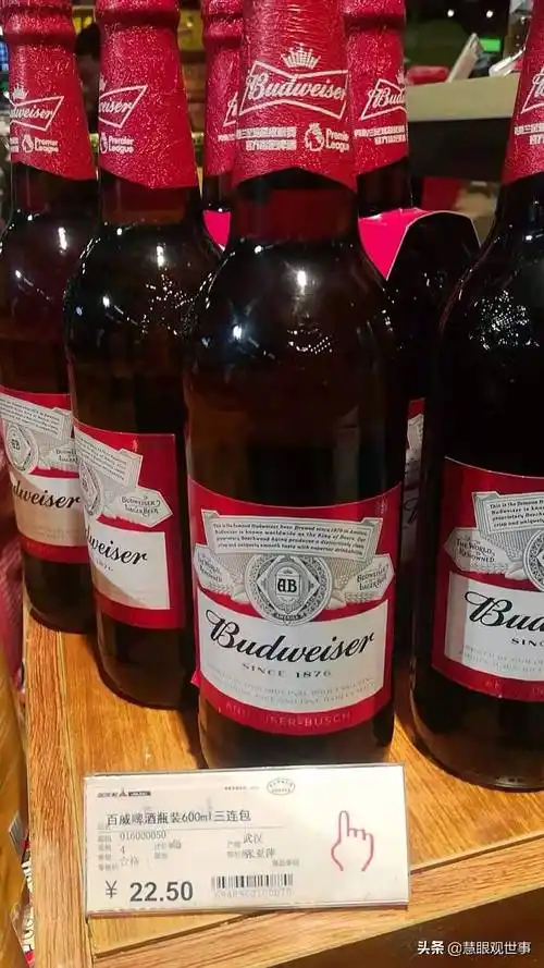 一箱啤酒多少钱最便宜的啤酒多少钱一箱