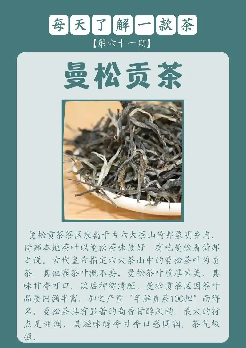 每天了解一款茶丨曼松贡茶『第六十一期』|.产区:云南省西双版 - 抖音