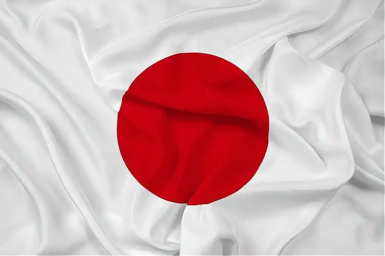 太阳旗与旭日旗:国旗与军旗?它们同为日军军旗,同样罪恶