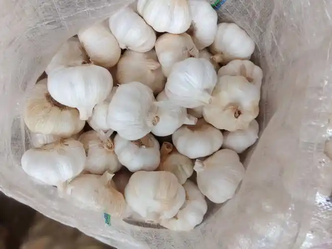 白皮大蒜 4.5-5.0cm 四六瓣
