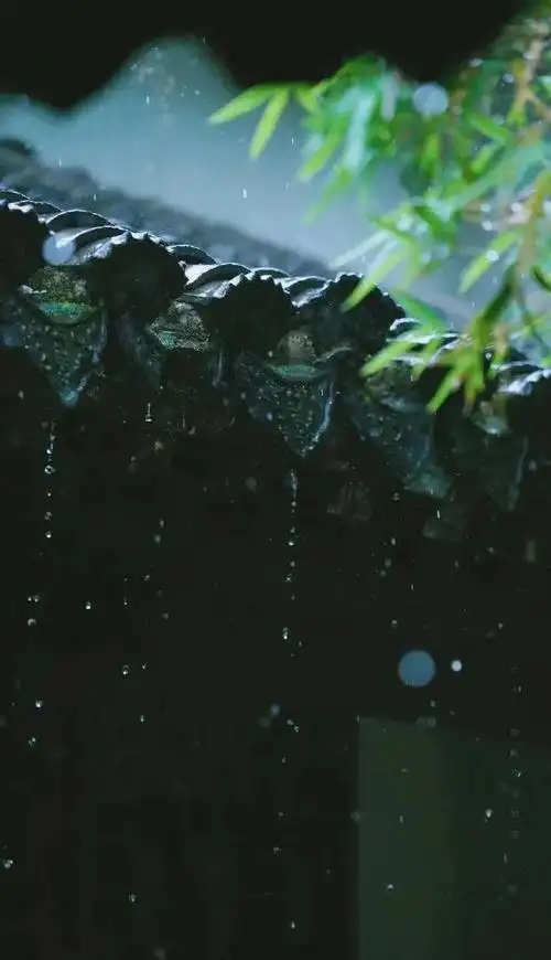 黄梅时节家家雨|梅雨|霉雨|黄梅雨|江南_网易订阅