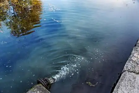 由于废水的流失,湖水表面的脏油受到污染. 在湖边洗车后发现油.