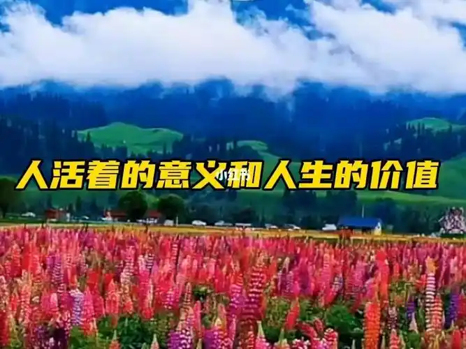 人活着的意义和人生的价值在于提升心性