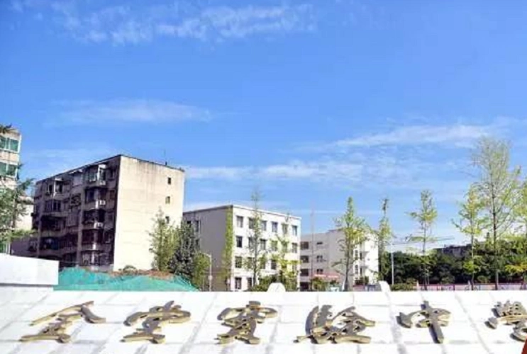 金堂实验中学地址在哪里