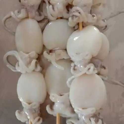 烧烤海鲜墨鱼仔串20串袋鲜冻小墨鱼乌贼目鱼串铁板烧烤华海春2袋实惠