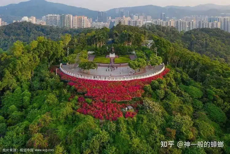 深圳游玩打卡30景点(内有深圳吃喝玩乐群) - 知乎