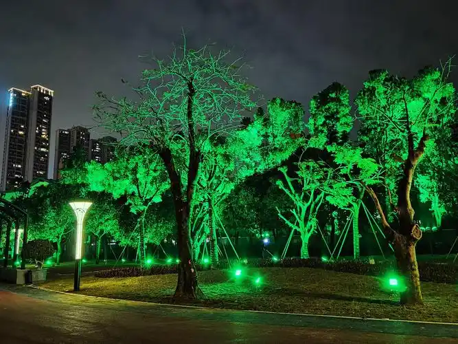 多彩灯光夜树景戚伟雄摄于广东佛山文华公园