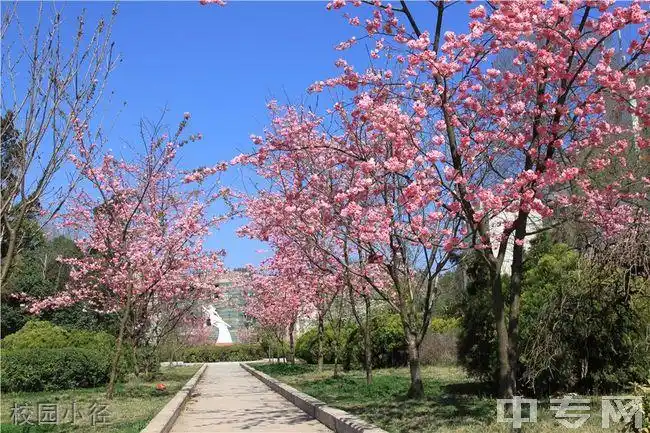 师宗县第一中学[普高]图片