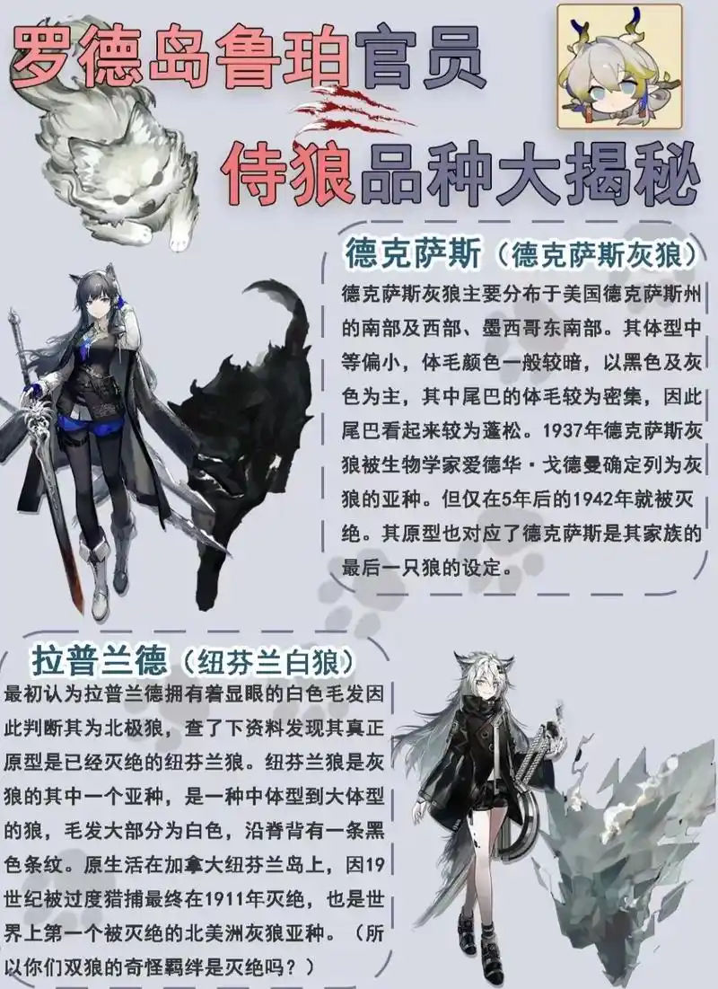 双狼组原型早已灭绝,鲁珀干员原型揭晓!#明日方舟生路 #明日 - 抖音