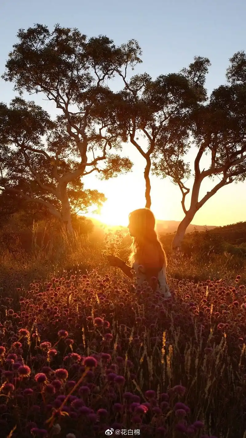 阳光下女生唯美手机壁纸