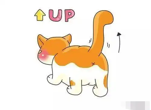 猫不想吃饭,不停的摇尾巴是什么征兆?