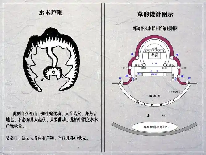 行龙到头,芦鞭到头略起顶,微开八字面.