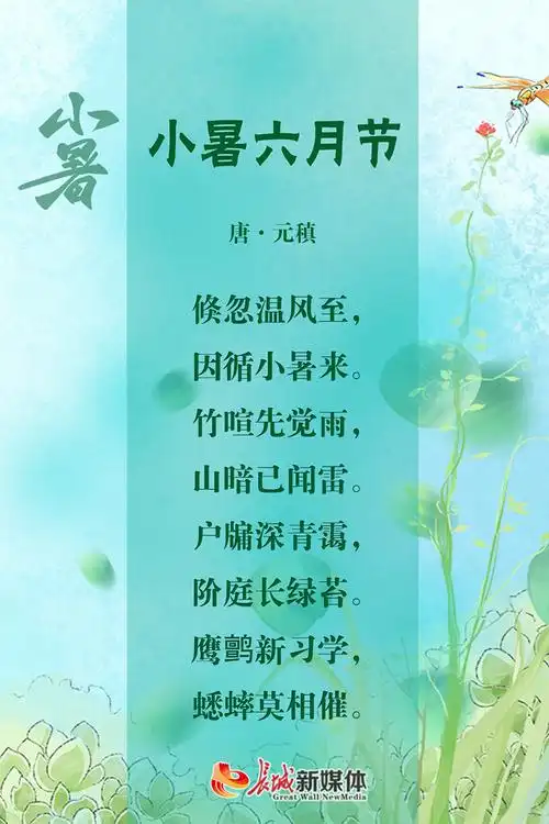 小暑诗节丨觅一方清凉守一寸光阴
