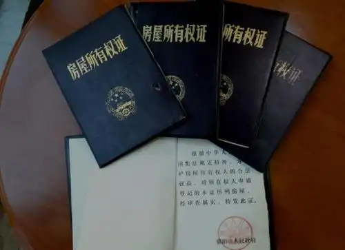 最初的产权凭证,是由濮阳市人民政府颁发的房屋所有权证,原始样本很多