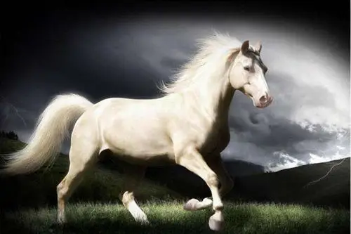 no5: 乌云踏雪(乌云笼罩雷声怒,踏雪无痕断河桥)