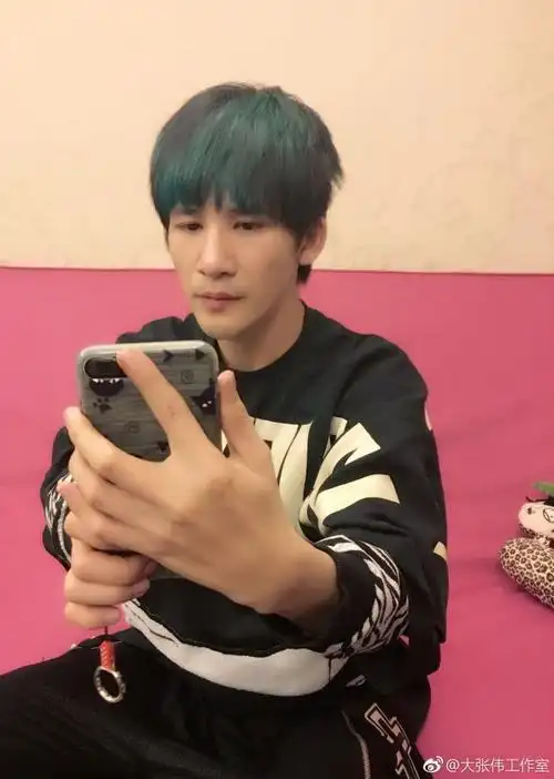 大张伟的混血双眼皮儿的照片 - 微相册