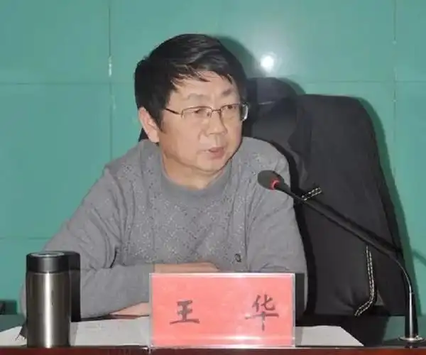 p>王华,男,汉族,湖北英山县人,1956年12月出生,大学专科学历. /p>