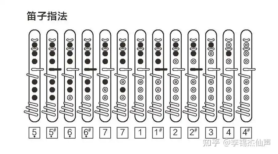 直接选择笛子类指法为宜,因为电吹管的笛子类指法几乎与这些乐器的