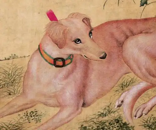 郎世宁笔下的十条名犬_茹黄豹