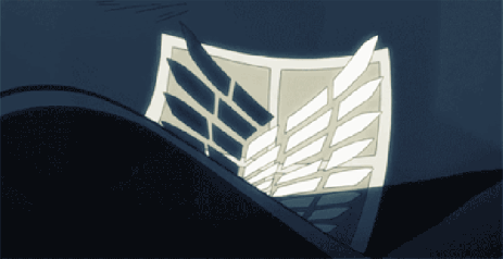 【鸽子赛前挑选技巧】一,放飞前的血统杂交优势检验首先你应该了解要